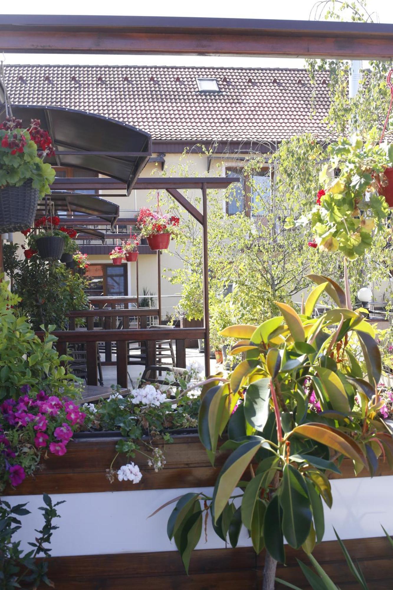 Hotel Bulevard Făgăraş Dış mekan fotoğraf